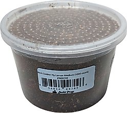 Josh's Frogs Black Soldier Fly Larvae Live Feed Reptile Food, Medium, 1000 count