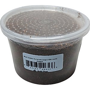Josh's Frogs Black Soldier Fly Larvae Live Feed Reptile Food, Large, 1000 count
