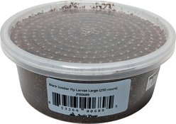 Josh's Frogs Black Soldier Fly Larvae Live Feed Reptile Food, Large, 250 count