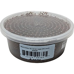 Josh's Frogs Black Soldier Fly Larvae Live Feed Reptile Food, Large, 250 count