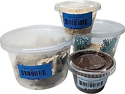Josh's Frogs Bearded Dragon Feeder Bundle, Juvenile