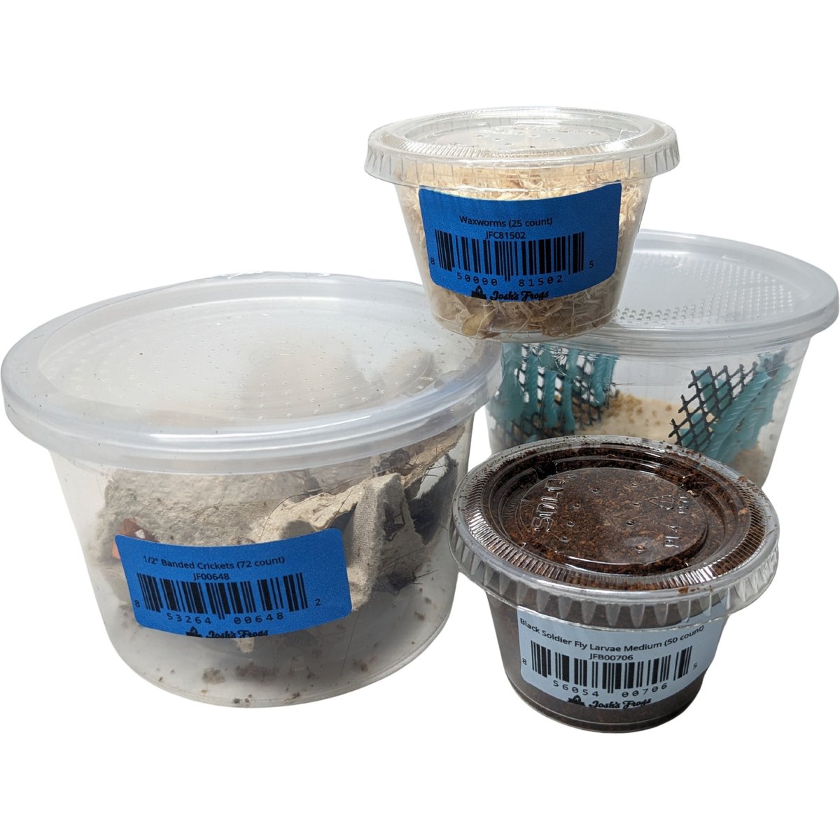 Josh's Frogs Bearded Dragon Feeder Bundle, Juvenile