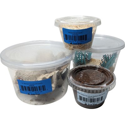 Josh's Frogs Josh's Frogs Bearded Dragon Feeder Bundle, Juvenile