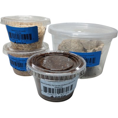 Josh's Frogs Josh's Frogs Leopard Gecko Feeder Bundle, Juvenile