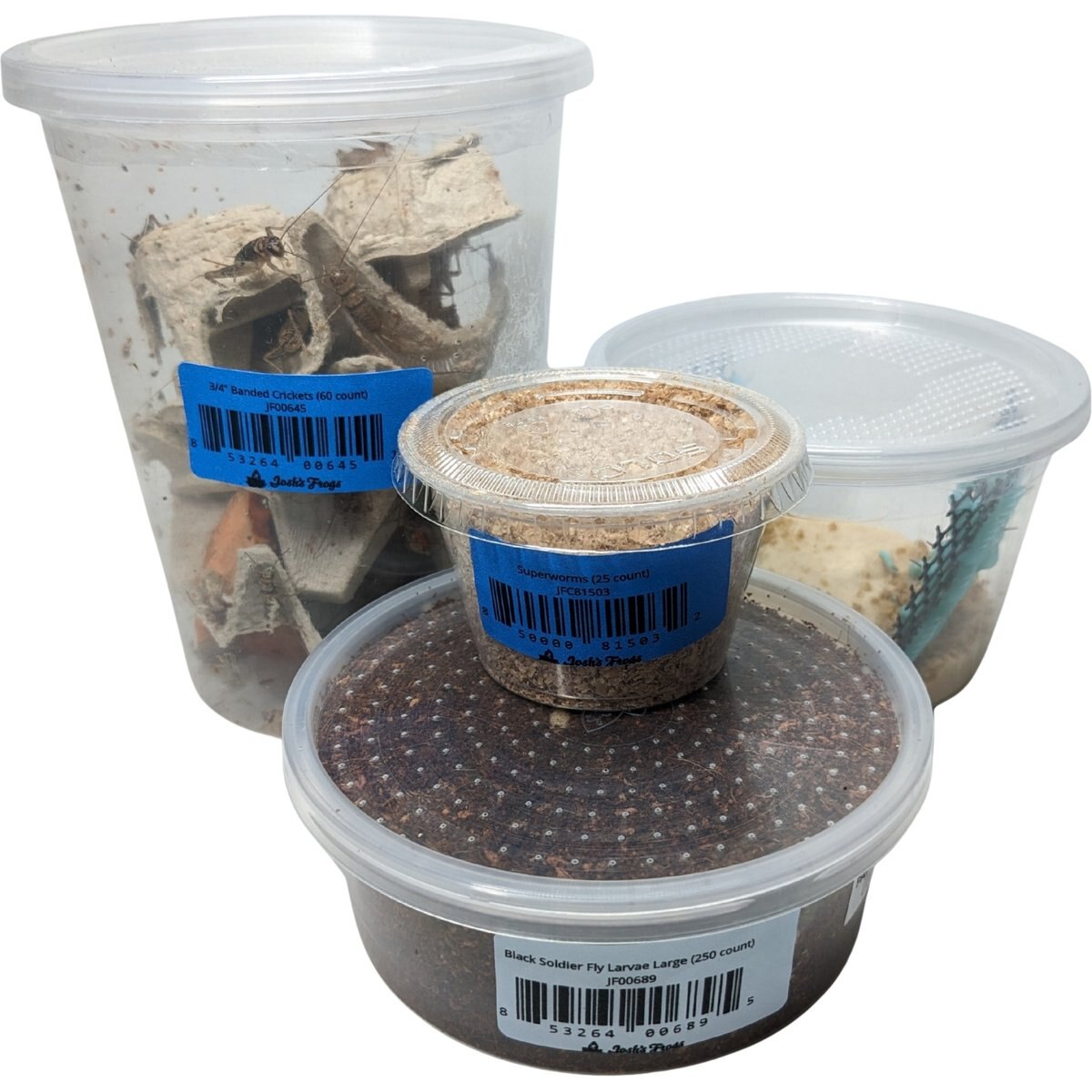 Josh's Frogs Bearded Dragon Feeder Bundle, Adult