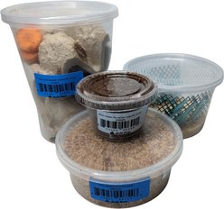 Josh's Frogs Fat Tail Gecko Feeder Bundle, Adult