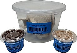 Josh's Frogs Tree Frog Feeder Bundle, Juvenile