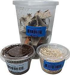 Josh's Frogs Tree Frog Feeder Bundle, Adult