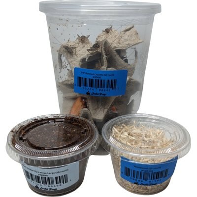 Josh's Frogs Josh's Frogs Tree Frog Feeder Bundle, Adult