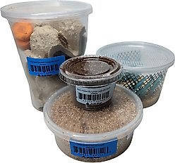 Josh's Frogs Leopard Gecko Feeder Bundle, Adult