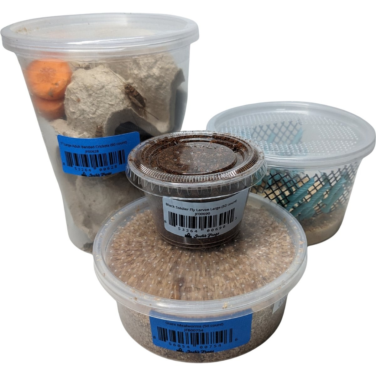 Josh's Frogs Leopard Gecko Feeder Bundle, Adult