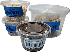 Josh's Frogs Fat Tail Gecko Feeder Bundle, Juvenile