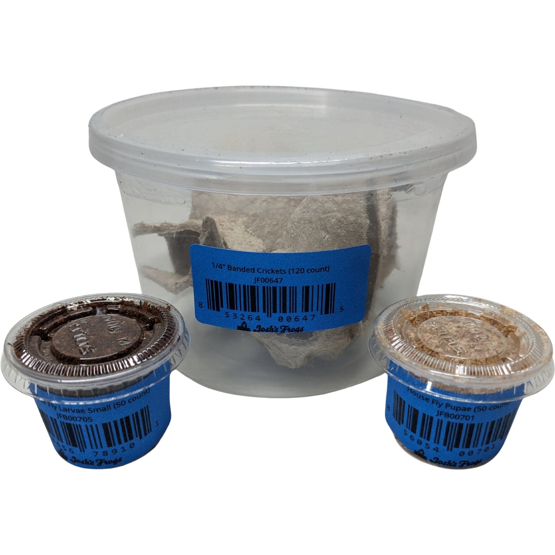 Josh's Frogs Tree Frog Feeder Bundle, Baby