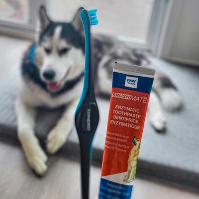 Show full view: Paw Ready BrushMate Toothbrush & Enzymatic Banana Mint Flavor Dog Toothpaste, 70-gram bottle slide 7 of 11