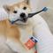 Show in main carousel: Paw Ready BrushMate Toothbrush & Enzymatic Banana Mint Flavor Dog Toothpaste, 70-gram bottle slide 4 of 11