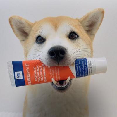 Show full view: Paw Ready Banana Mint Flavor Enzymatic Dog Toothpaste, 70-g tube slide 8 of 10