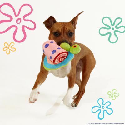 Show full view: SpongeBob Gary Plush Roll Up Treat Dispenser Dog Toy, Blue slide 3 of 7