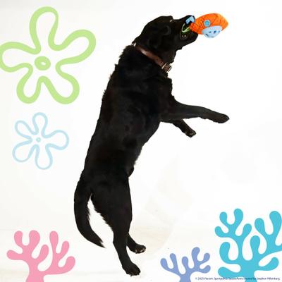 Show full view: SpongeBob Pineapple Tough Treat Dispenser Dog Toy, Orange slide 3 of 7