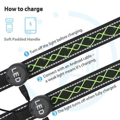 Show full view: MEGAPAWS Adjustable USB-Rechargeable Dog Leash, Green slide 9 of 12