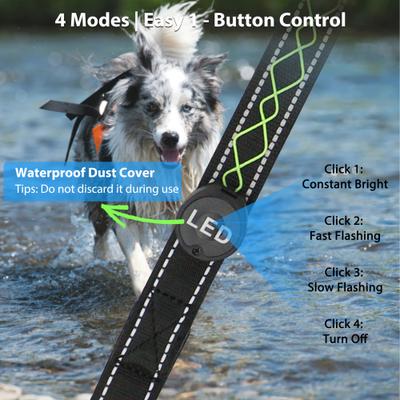 Show full view: MEGAPAWS Adjustable USB-Rechargeable Dog Leash, Green slide 4 of 12