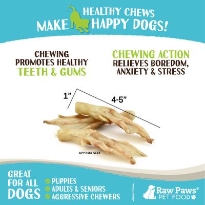 Show full view: Raw Paws Duck Feet Freeze-Dried Duck Dogs Treats, 10-count slide 4 of 7