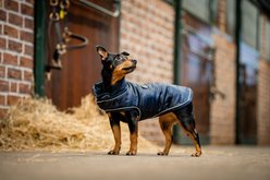 Horseware Ireland Signature Insulated Dog Puffer Coat, Navy, X-Large