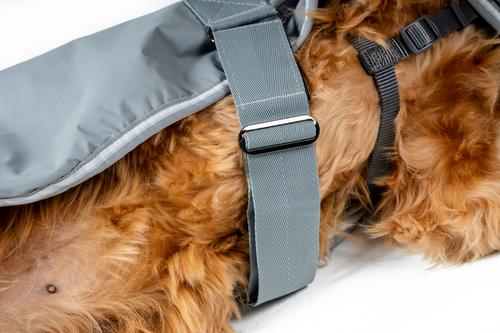Show full view: Horseware Ireland Newmarket Striped Waterproof Dog Coat, Witney Charcoal, Large slide 6 of 7