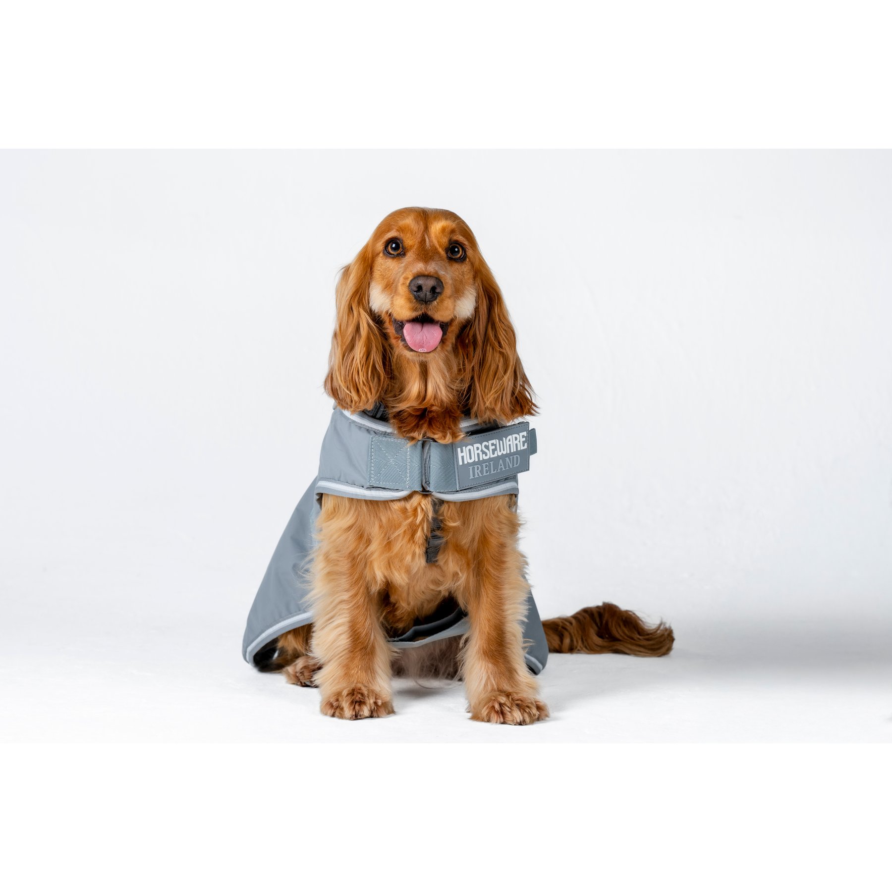 Horseware Newmarket Striped Waterproof Dog Coat, Witney Charcoal, X-Small