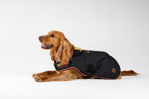 Show full view: Horseware Ireland Newmarket Striped Waterproof Dog Coat, Witney Gold, X-Large slide 2 of 7