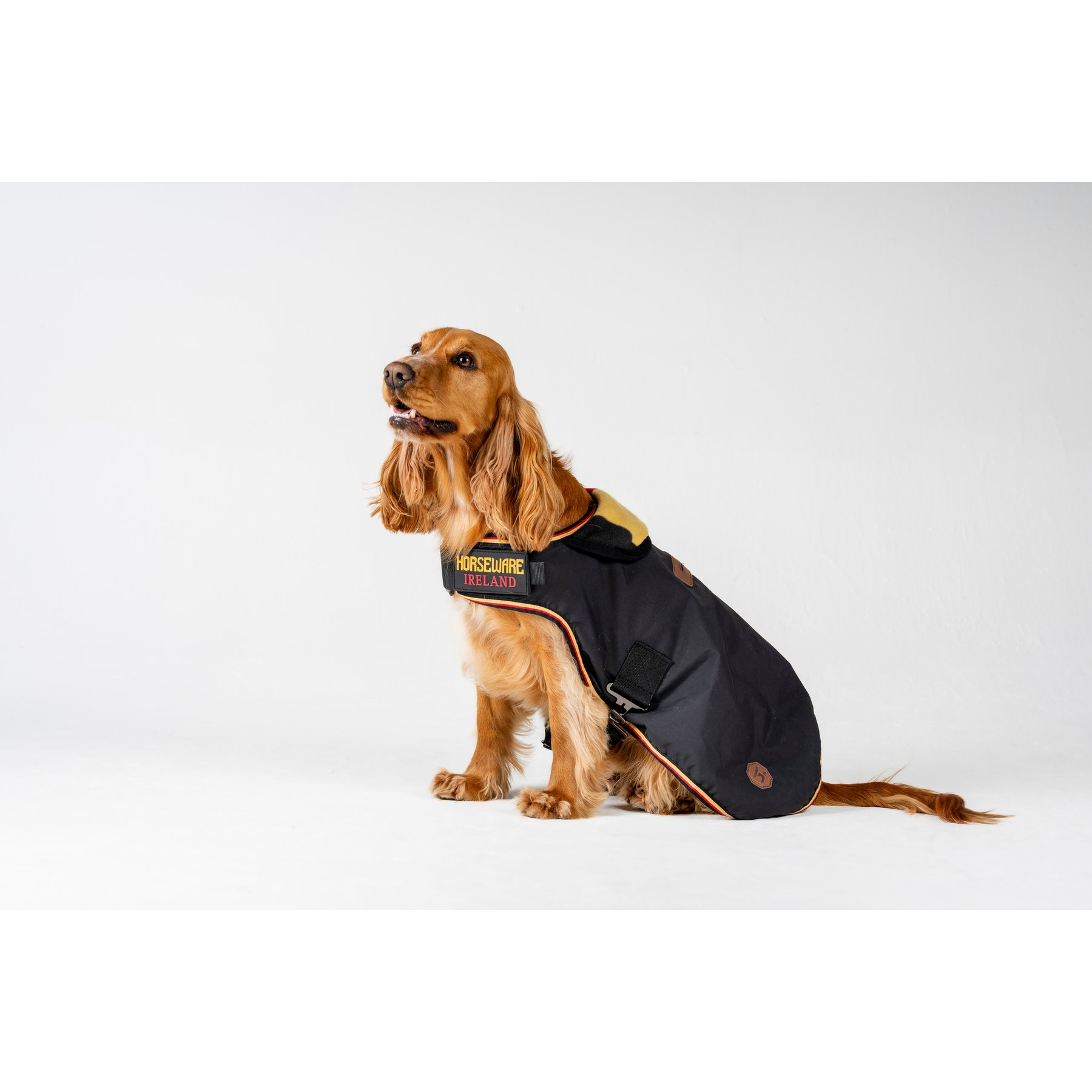 Horseware Newmarket Striped Waterproof Dog Coat, Witney Gold, XX-Small
