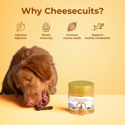 Show full view: Pawfect All Natural Grain-Free Cheese Biscuits with Pumpkin, Flaxseed & Eggs Crunchy Dog Training Treats, 3.53-oz tin slide 5 of 9