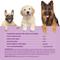 Show in main carousel: Special Breed Probiotic Powder Digestive Supplement for Dogs, 8.2-fl oz bottle slide 7 of 9