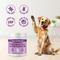 Show in main carousel: Special Breed Probiotic Powder Digestive Supplement for Dogs, 8.2-fl oz bottle slide 5 of 9