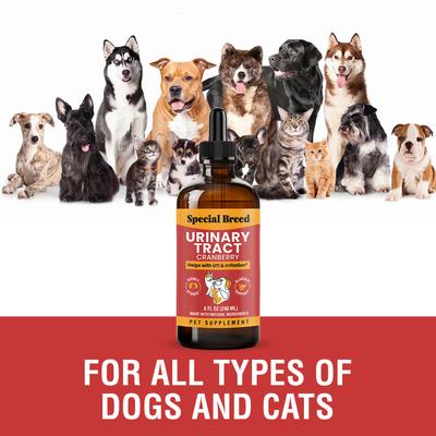 Show full view: Special Breed Urinary Tract Cranberry Flavored Supplement for Dogs & Cats, 8-fl oz bottle slide 5 of 8