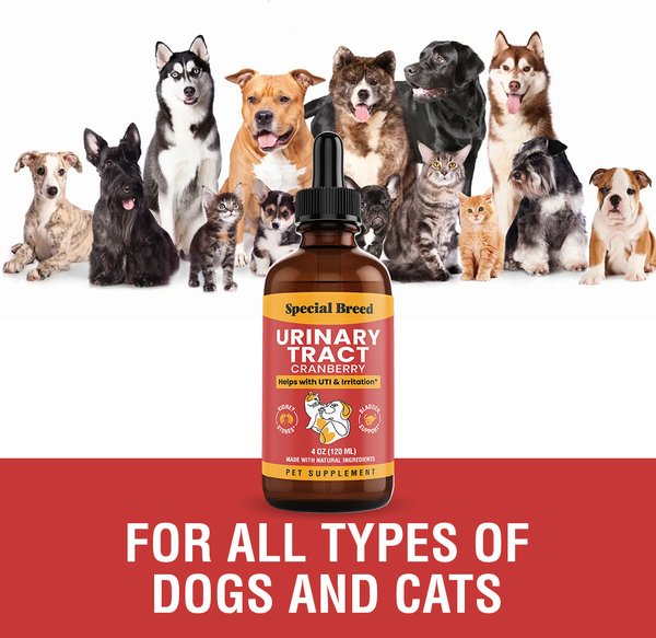 Special Breed Urinary Tract Cranberry Flavored Supplement for Dogs & Cats
