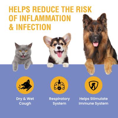 Show full view: Special Breed Respiratory & Cold Cough Supplement for Dogs & Cats, 2-fl oz bottle slide 4 of 8