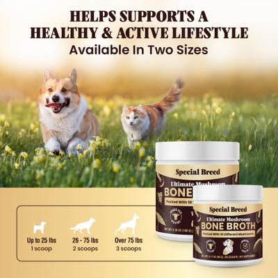 Show full view: Special Breed Bone Broth Beef & Mushroom Flavored Supplement for Dogs & Cats, 3.17-oz slide 7 of 9
