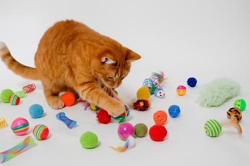 Show full view: Pet Fit For Life Multi Pack Cat Toy, 40 count slide 6 of 7