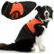 Show in main carousel: Gooby Zip-Up Sherpa Dog Vest, Black, X-Large: 26.25-in chest slide 1 of 4
