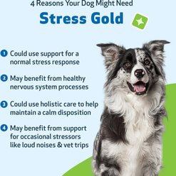 Pet Wellbeing Stress Gold Calming Supplement for Dogs, 2-oz slide 2 of 8