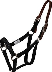 ThinLine Breakaway Turnout Horse Halter, Black, Mini