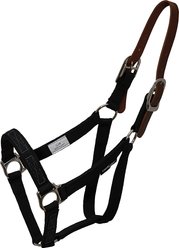 ThinLine Breakaway Turnout Horse Halter, Black, Small Pony
