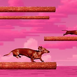 Bonkers Zoomers Grain-Free Dry-Smoky Bacon Adult Crunchy Dog Treats, 22-oz tub slide 2 of 9