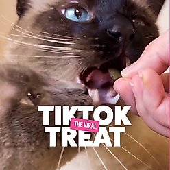 BONKERS Bites Catnip Chicken & Cheddar Flavored Crunchy Cat Treats, 16-oz tub slide 2 of 8