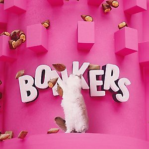 Bonkers Cat Pillows Catnip, Chick 'N & Cheddar Flavored Crunchy Cat Treats, 3-oz bag, 1 count