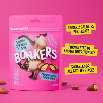 Show full view: Bonkers Cat Pillows Salmon Supreme Flavored Crunchy Cat Treats, 3-oz bag, 1 count slide 9 of 12