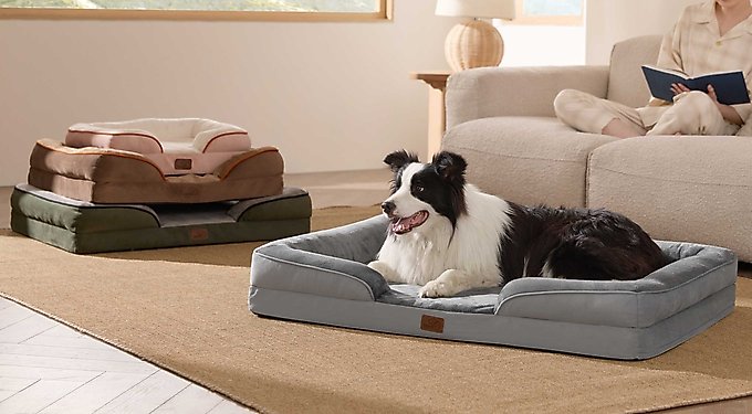 Bedsure Round Orthopedic Bolster Anti-Slip Puppy & Kitten Bed with Washable Pillow Cushion