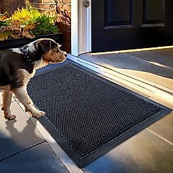 Muddy Mat Mesh Quick-Dry Dog Door Mat, Black, 23 x 35-in