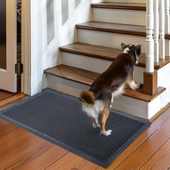 Muddy Mat Mesh Quick-Dry Dog Door Mat, Black, 23 x 35-in slide 2 of 7
