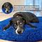 Show in main carousel: Muddy Mat Cloud K-9 Dog Bed with Removable Cover, Navy Blue, Medium slide 6 of 8